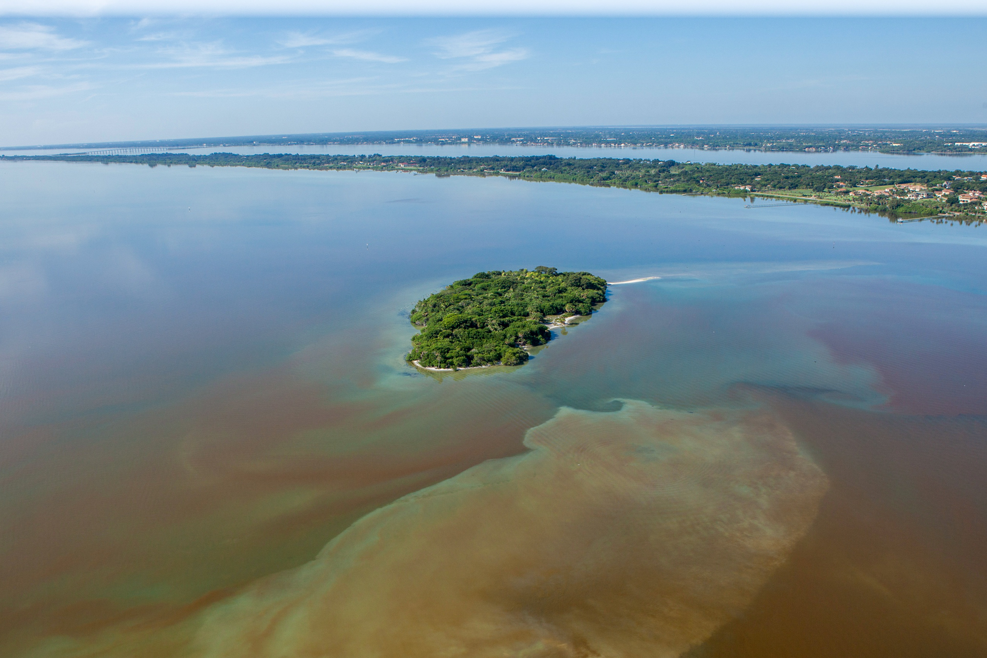 Aerial view of the Indian River Lagoon during the 2016 brown tide algae bloom. Vast stretches of the estuary rendered opaque brown by algae, the water no longer transparent enough to see through, a small mangrove island isolated in the discoloration.